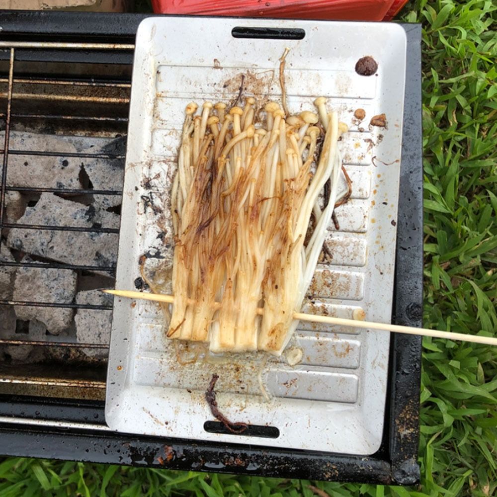 Duurzame titanium campinggrill - Camping Cooking Pan recensie en prijs